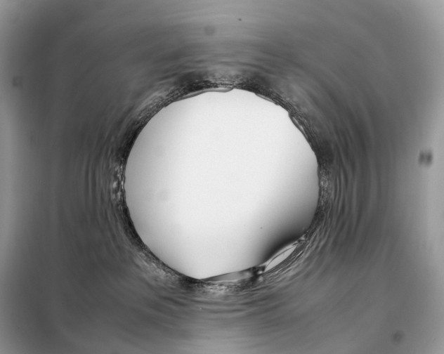 X0000098120237200805021204