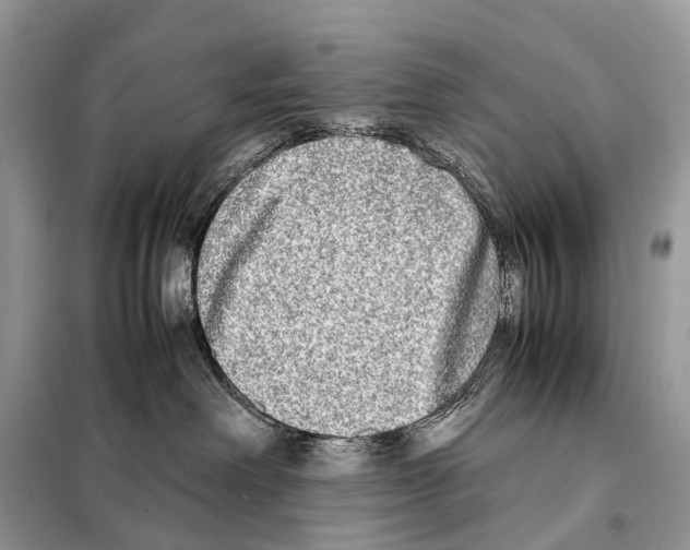 X0000098120238200805021204