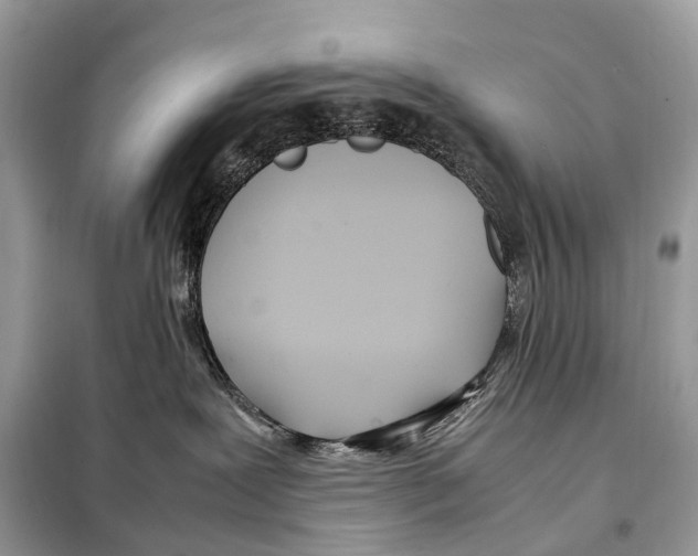 X0000098120239200805021204