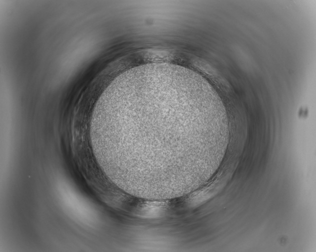 X0000098120240200805021204