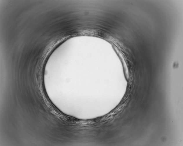 X0000098120241200805021203