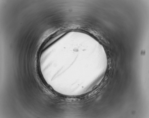 X0000098120242200805021203