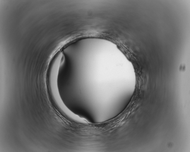 X0000098120244200805021203