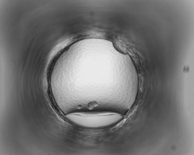 X0000098120245200805021203