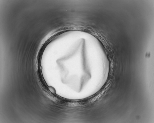 X0000098120246200805021203