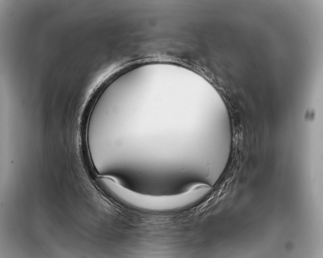 X0000098120248200805021203