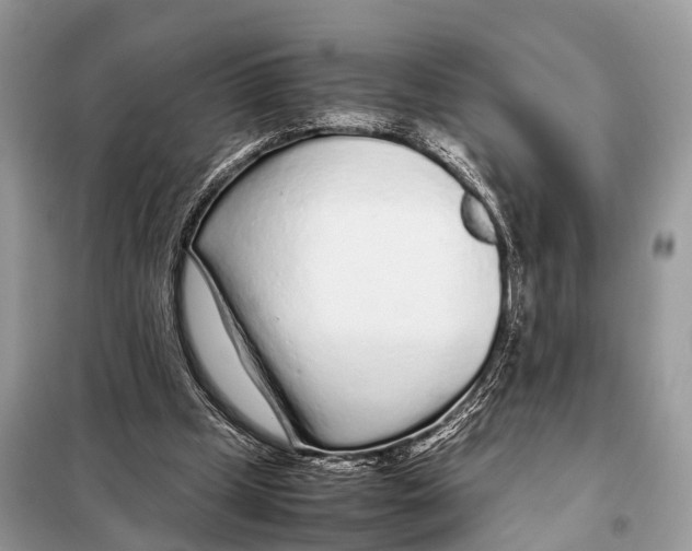 X0000098120249200805021203