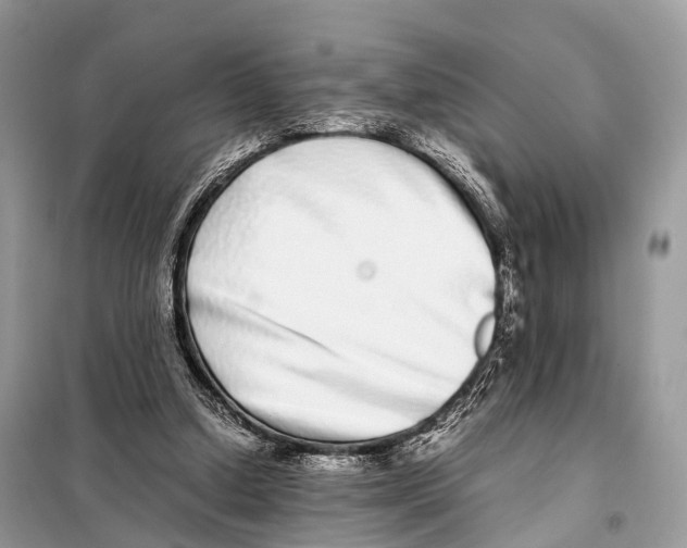 X0000098120250200805021203