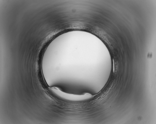 X0000098120252200805021203