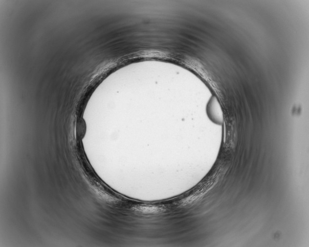 X0000098120253200805021203