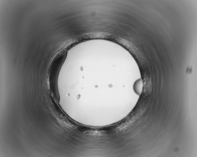 X0000098120254200805021203