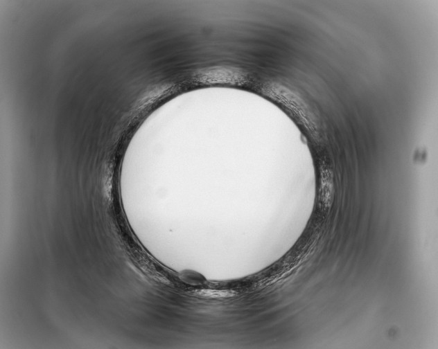 X0000098120255200805021203