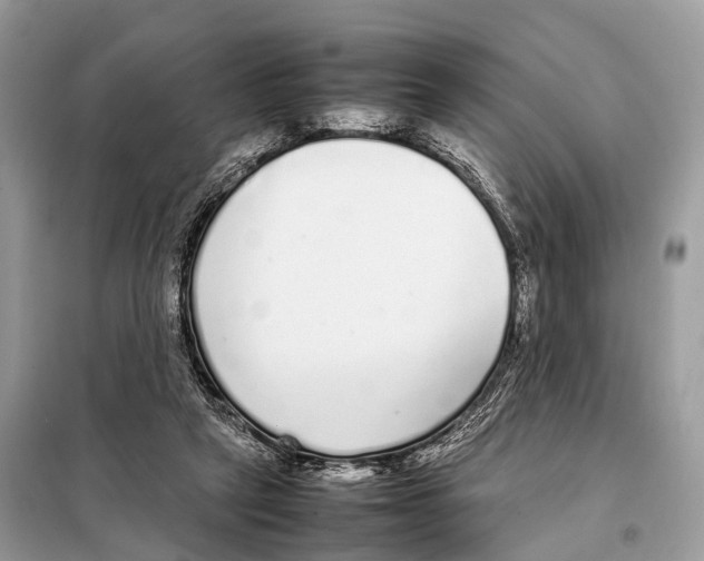 X0000098120257200805021203