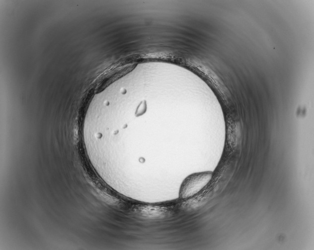 X0000098120261200805021204