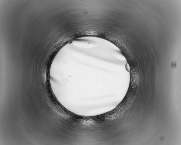 X0000098120262200805021204