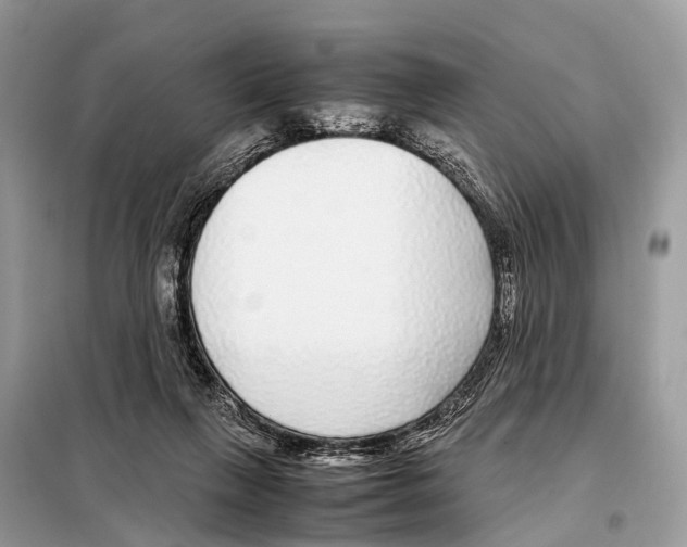 X0000098120263200805021204