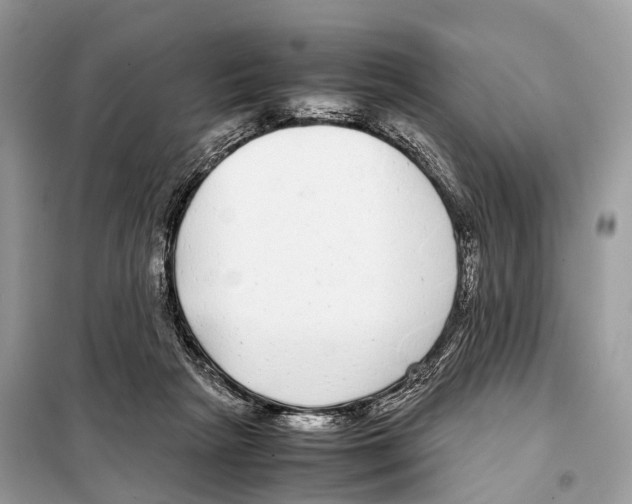 X0000098120265200805021204