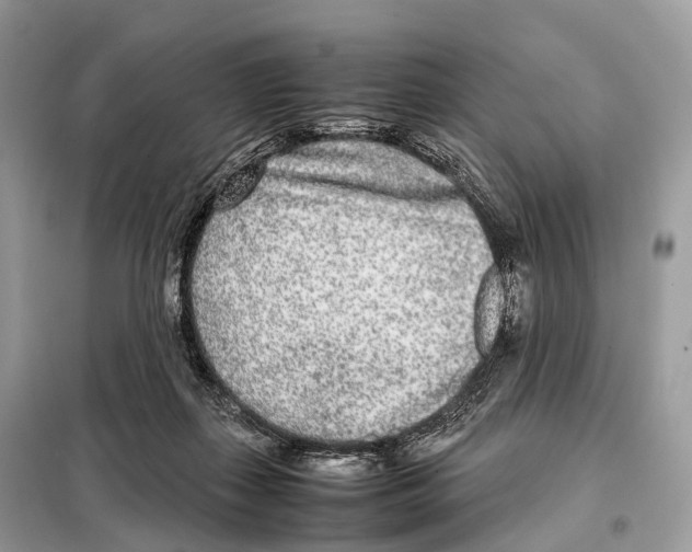 X0000098120267200805021204