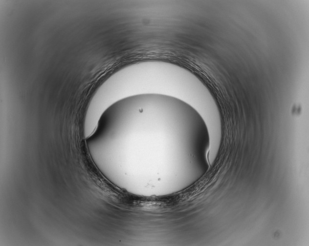 X0000098120268200805021204