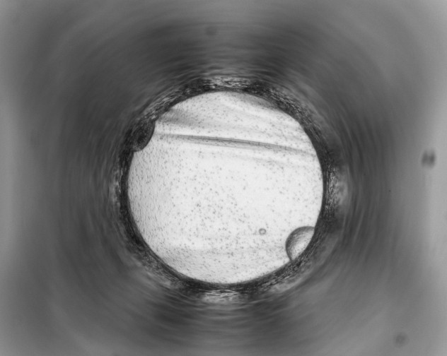 X0000098120271200805021204