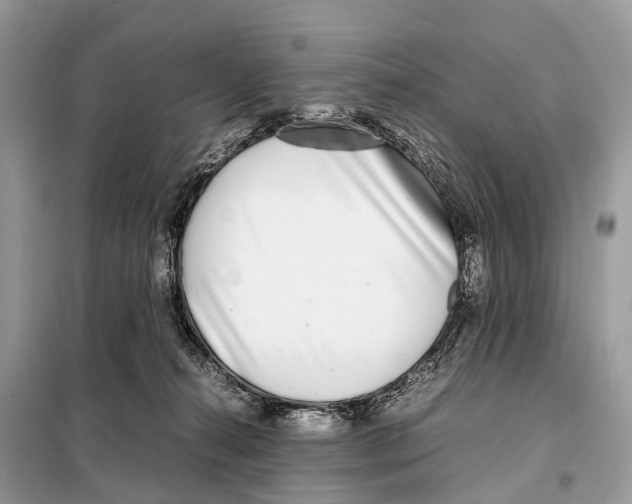 X0000098120272200805021204