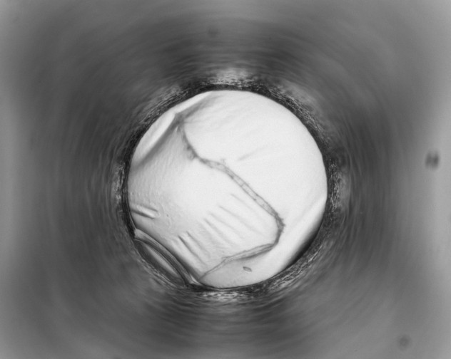 X0000098120273200805021204