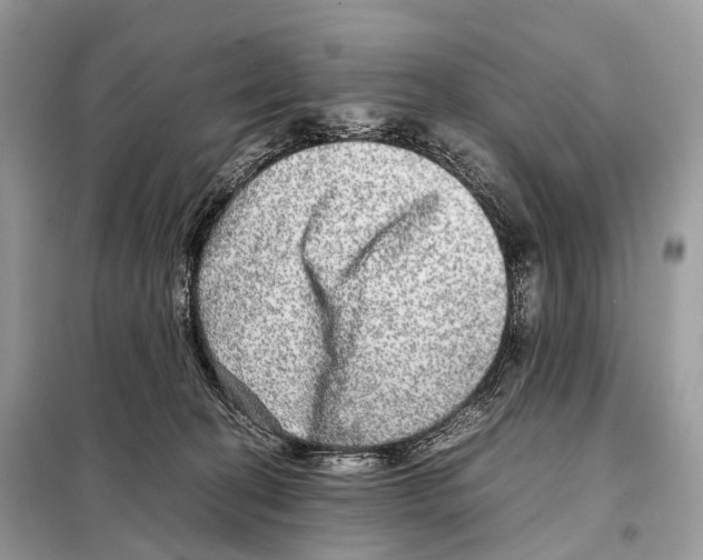 X0000098120274200805021204