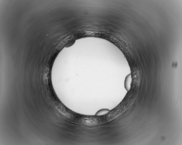 X0000098120275200805021204