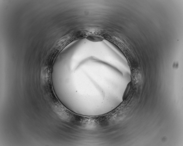 X0000098120276200805021204