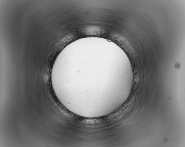 X0000098120277200805021204