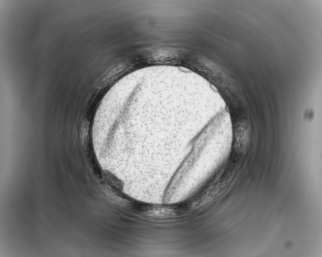 X0000098120278200805021204