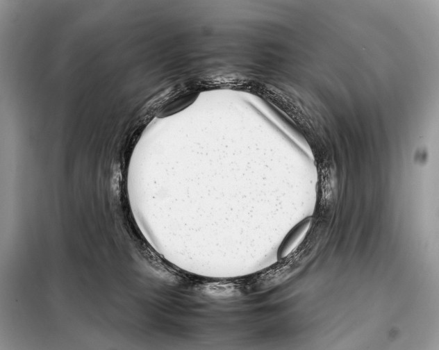 X0000098120279200805021204