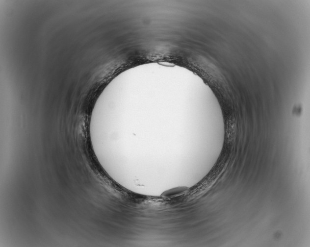 X0000098120280200805021204