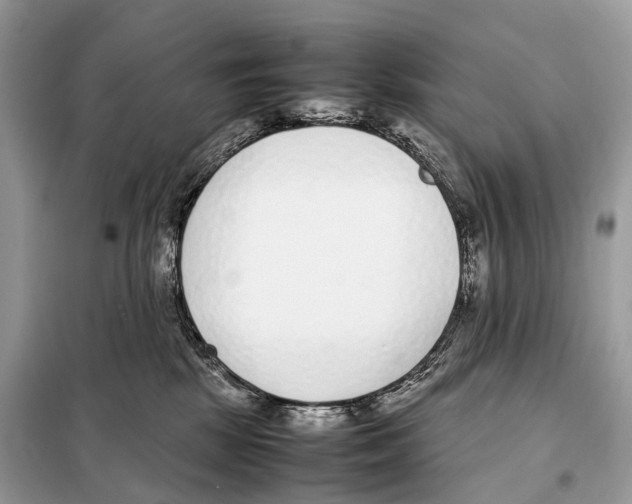 X0000098120281200805021204