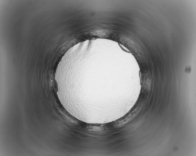 X0000098120285200805021204