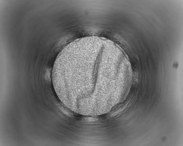 X0000098120286200805021204