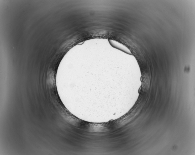 X0000098120287200805021204