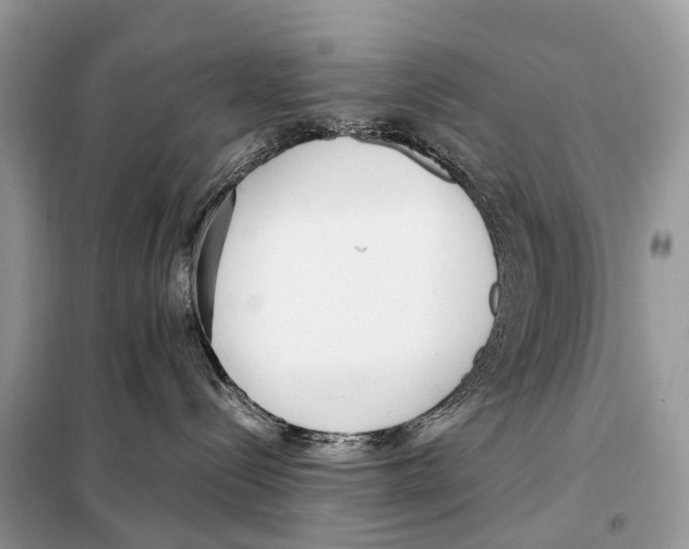 X0000098120288200805021204