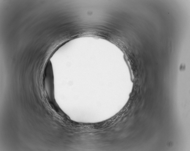 X0000098120289200805021203