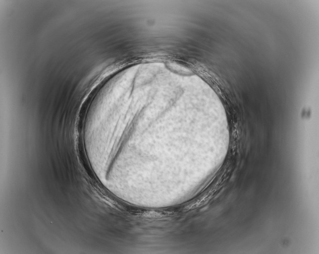 X0000098120290200805021203