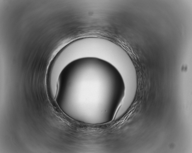 X0000098120292200805021203