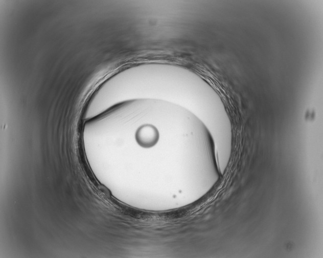 X0000098120293200805021203