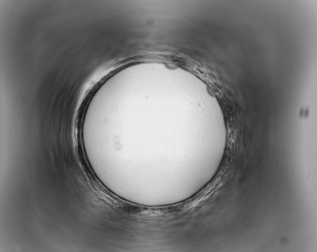 X0000098120294200805021203