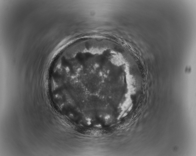 X0000098120295200805021203