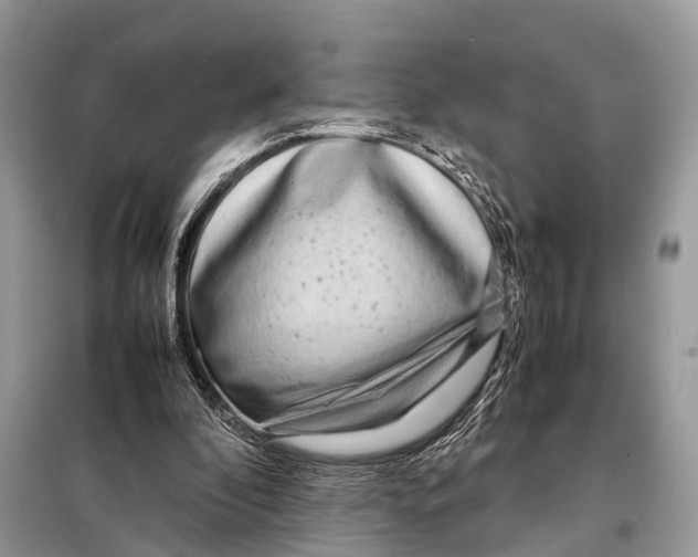 X0000098120296200805021203