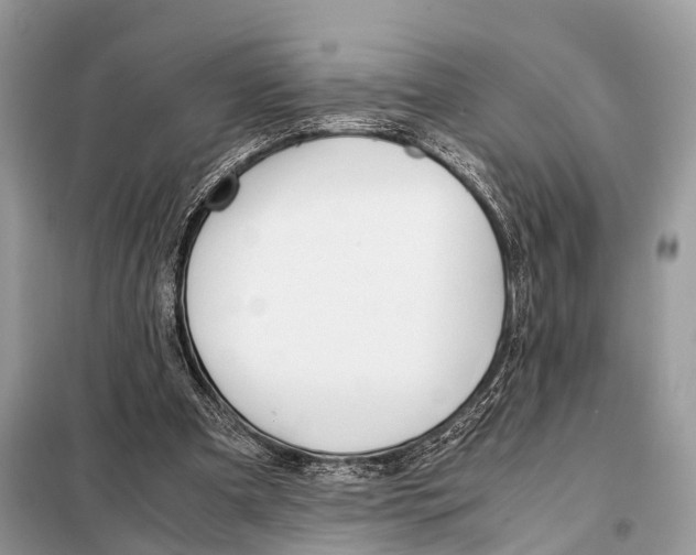 X0000098120297200805021203