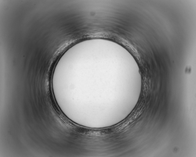 X0000098120298200805021203