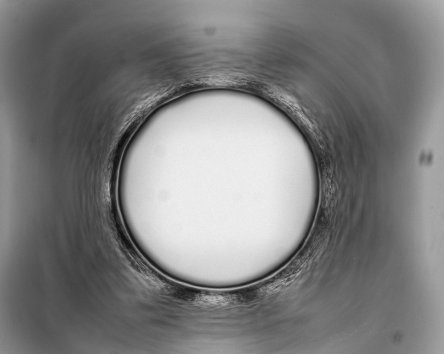 X0000098120299200805021203