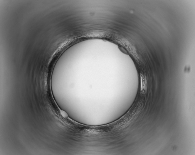 X0000098120300200805021203