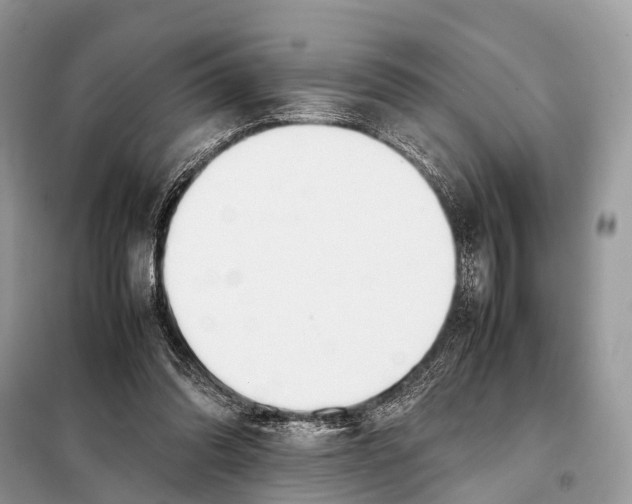 X0000098120302200805021203